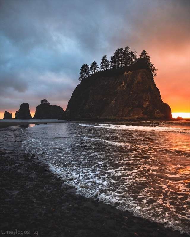 When the sun rises for the last time! Olympic National Park. - The photo, The sun