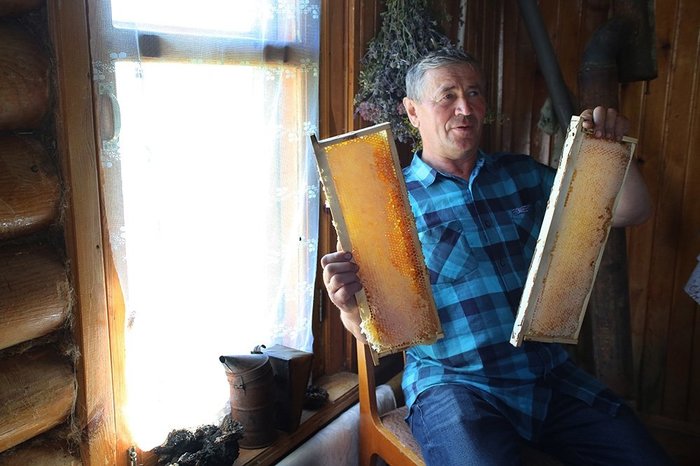 Father's swarm: South Ural beekeeper built a bee SPA for countrymen - My, Bees, Apitherapy, Tourism, Southern Urals, Longpost