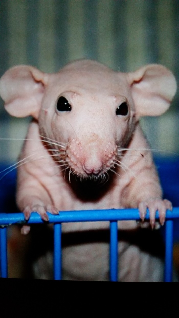 Пятница, а как же Я?