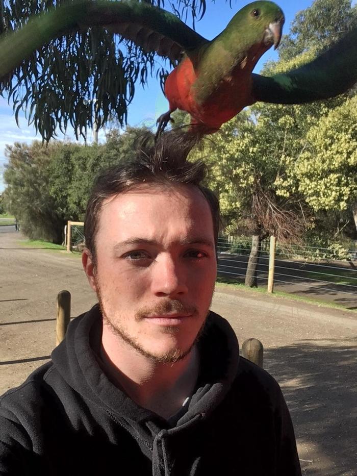 Selfie with a bird taking off from the head - The photo, Birds, Selfie, Guys, Reddit