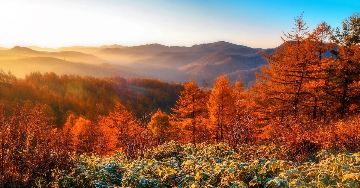 Сахалинская осень фото