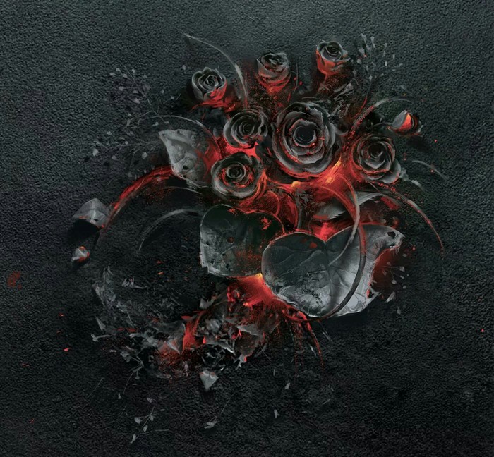 Ashes of burnt roses. - The photo, Photographer, Interesting, the Rose, Flowers, beauty, Fire, Fire