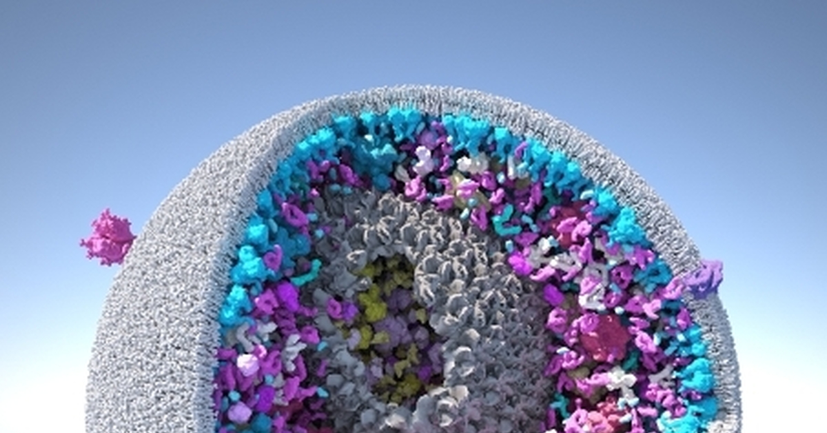 FightAIDSHome Phase 2 Пикабу