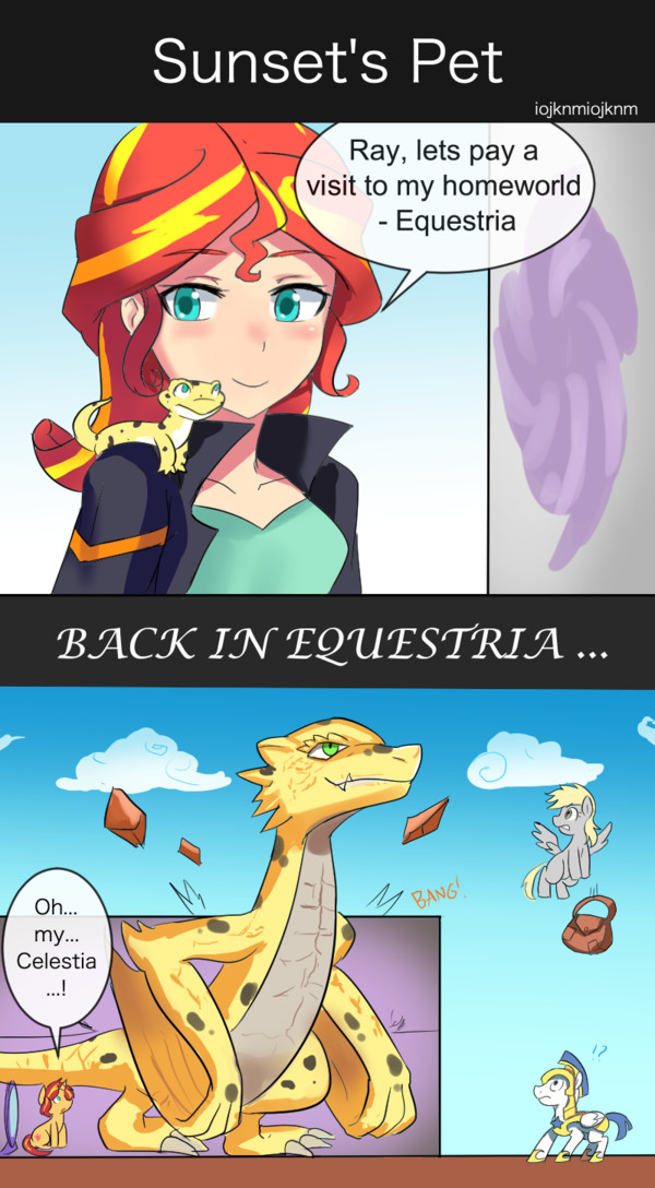  My Little Pony, Equestria Girls, Sunset Shimmer, Derpy Hooves, Royal Guard, Tzc