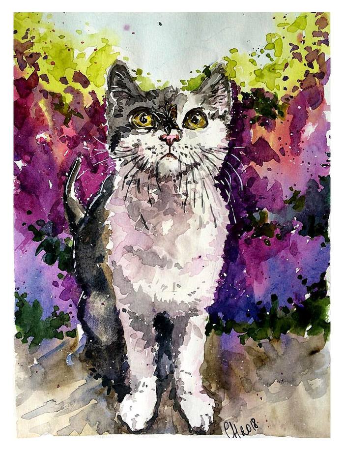 Curiosity - My, Creation, Art, cat, Watercolor, Animals, Animalistics, Curiosity, Sight