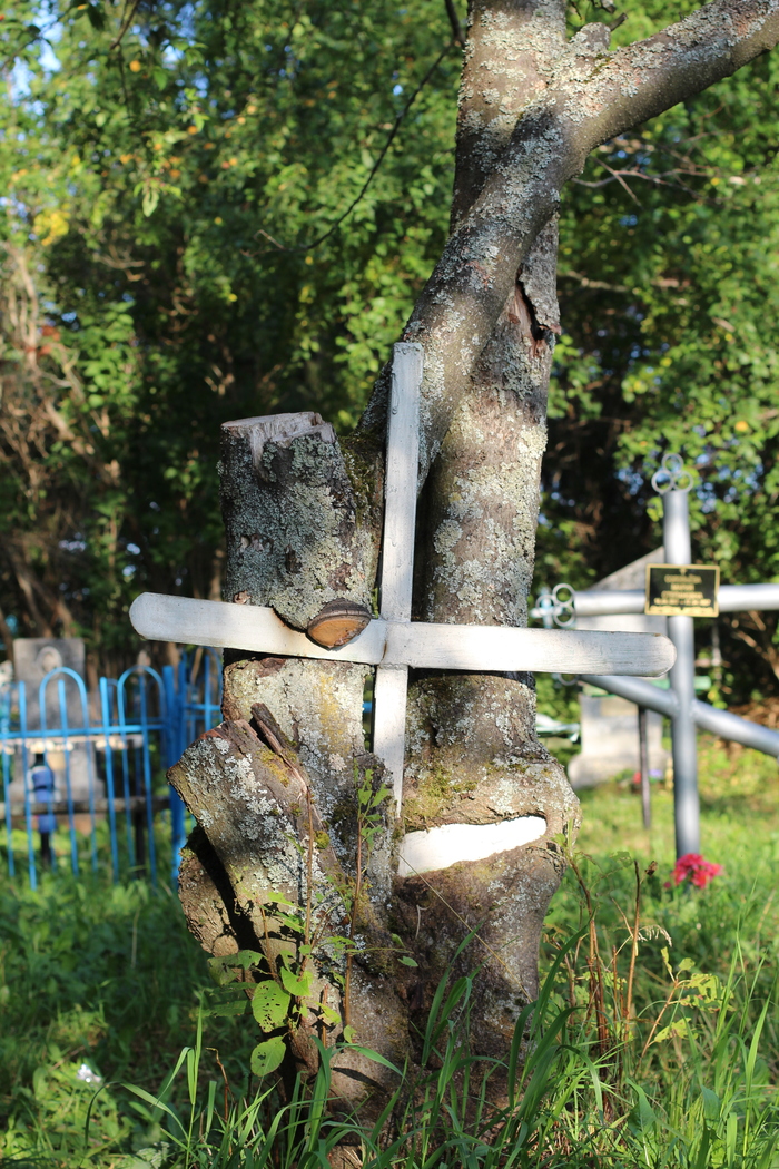 Time - My, Tree, Longpost, Time, Cemetery, Memory