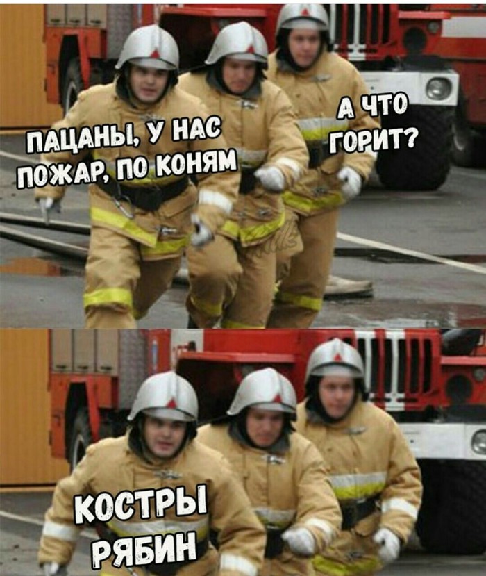 Well, according to tradition, - September 3, Rowan bonfires, Mikhail Shufutinsky, Memes, Fire