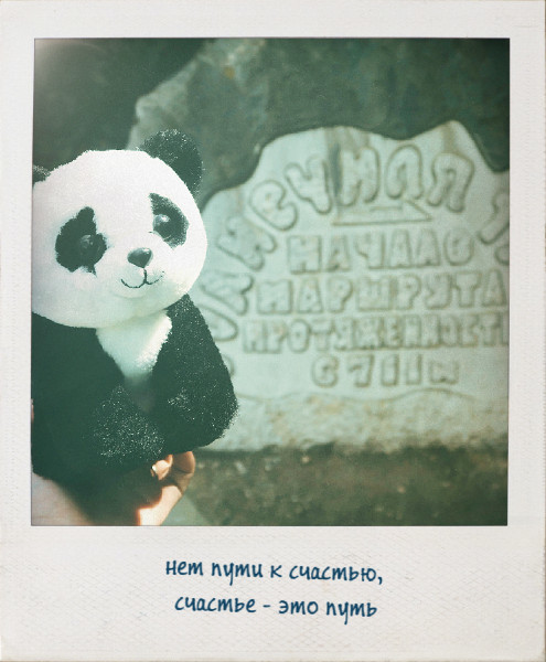 panda travel - My, Panda, Toys, Travels, , Interesting, Longpost