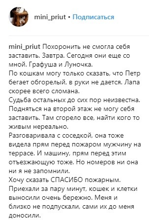 Сгоревший мини-приют для животных. Помогите, кто чем может. - Помощь, Помощь животным, Поджог, Кемерово, Трагедия, Приют, Длиннопост