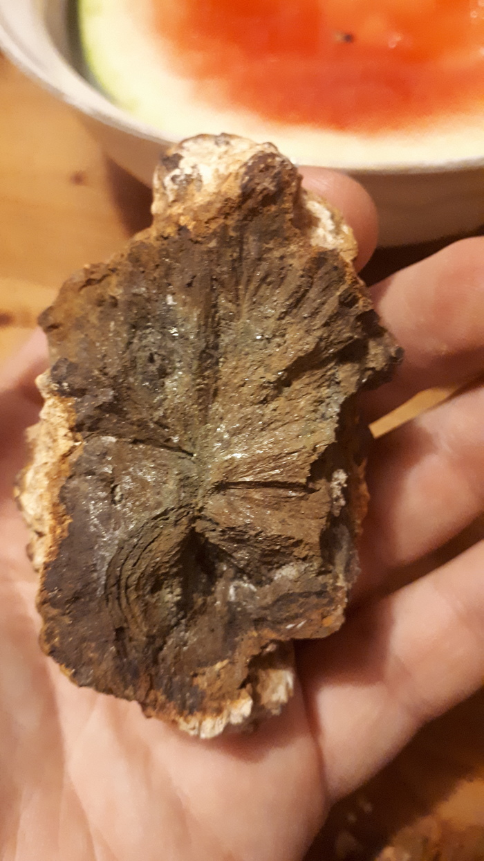 Help identify an ore/mineral/stone - My, Ore, clue, Help, Crimea, Minerals, Longpost