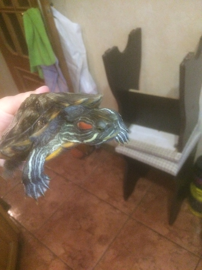 ����� ��������� � ������� ����