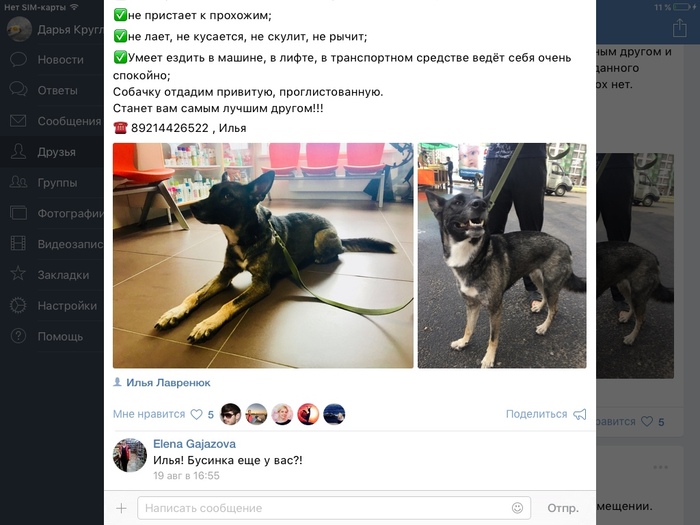 ZHIVODERS FROM KUDROVO - Flayers, Flailing, cat, Shelter, Attention, Cruelty, Longpost