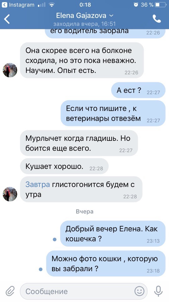 ЖИВОДЕРЫ ИЗ КУДРОВО - Живодеры, Живодерство, Кот, Приют, Внимание, Жестокость, Длиннопост