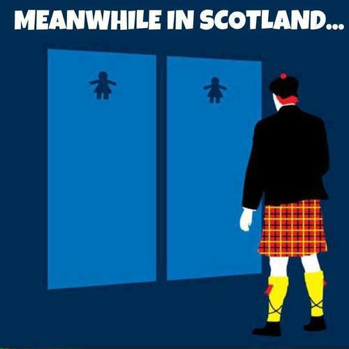 Problems of choosing a toilet in Scotland - Caricature, Scotland, Toilet, What's the difference