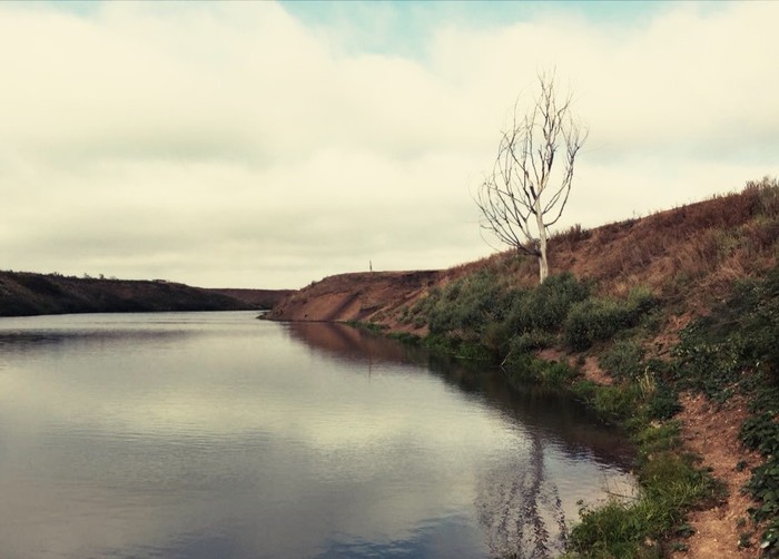 Landscape with fishing - My, The photo, Tree, Ulyanovsk region, Longpost