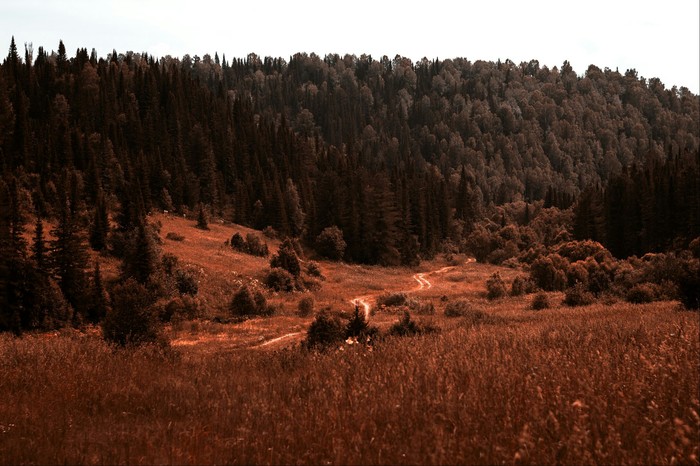 Corners of Russia - My, The photo, Nature, Village, Russia, Longpost