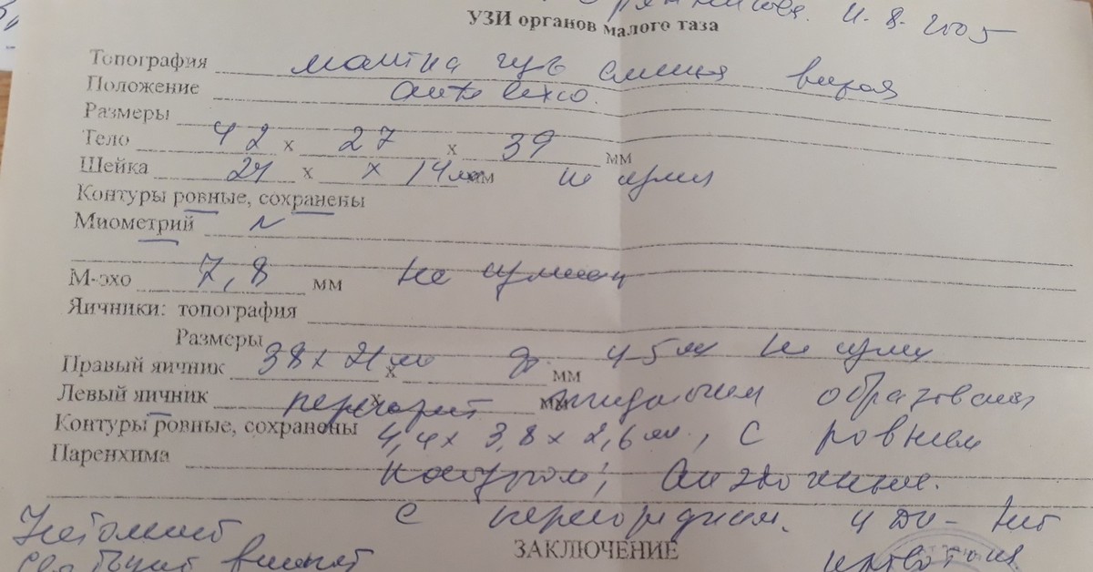 Заключение врача. Помогите разобрать | Пикабу