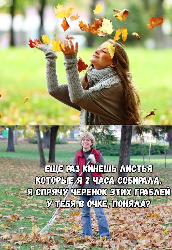 autumn) - Autumn, Humor