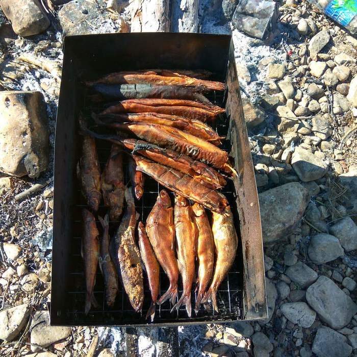 Saving the rotten - My, Grayling, Smoking, Lenok