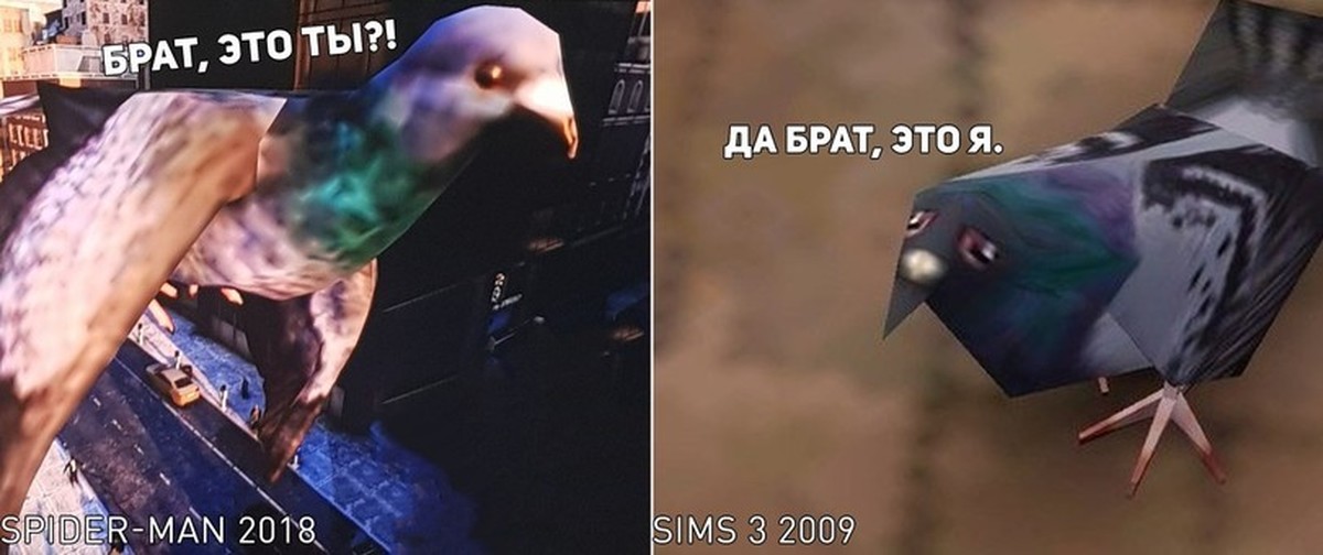 она видела некоторое