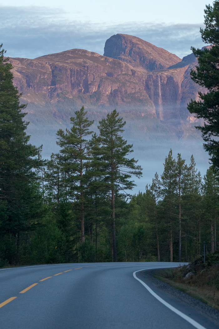 Turn there - My, The photo, Beginning photographer, Nforester, Norway, Road