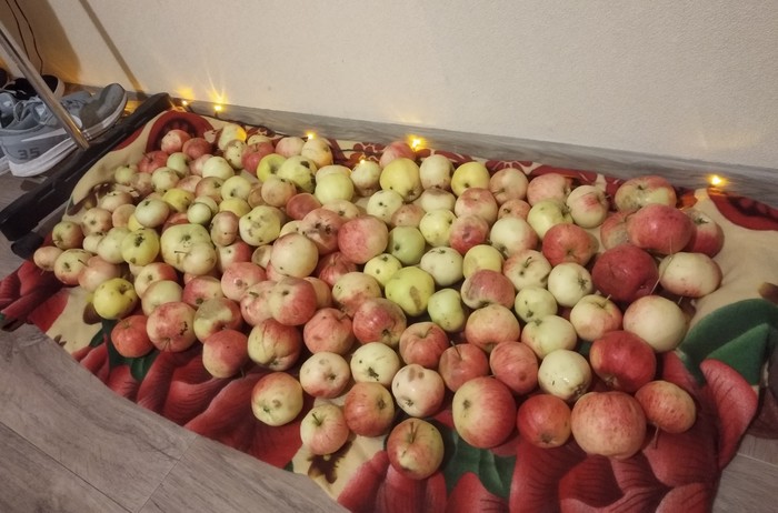 Когда дедушка приехал с дачи