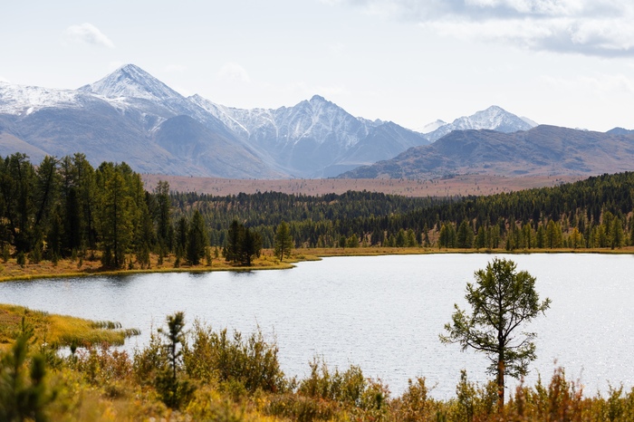 Осень в горах - Моё, Пейзаж, Природа, Фотография, Алтай, Горы, Горный Алтай, Осень, Фотограф, Длиннопост, Республика Алтай