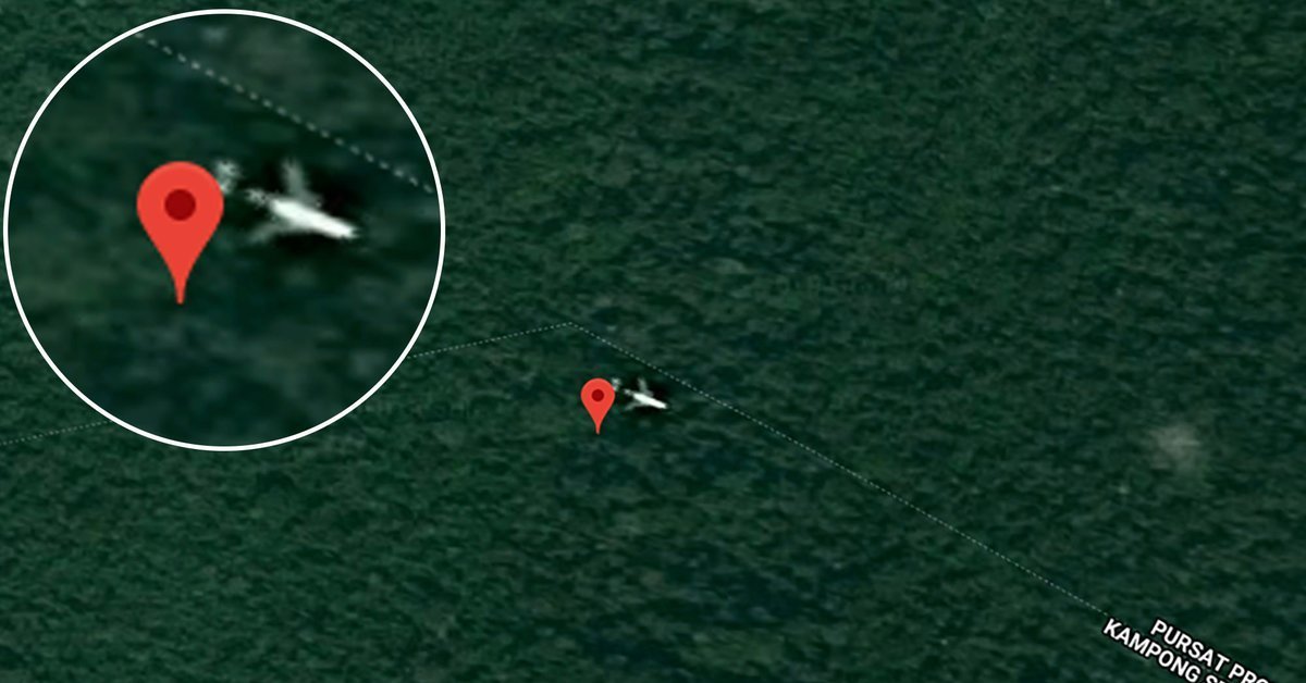 Голуби В Японии На Гугл Картах