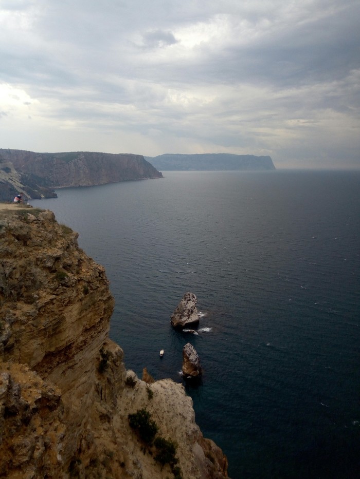 I remember summer... - My, Crimea, cat, Summer, Longpost