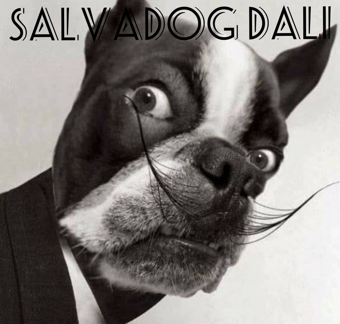 Salvadog Dali - Dog, Humor, Salvador Dali, Internet, Photoshop master, Picture with text