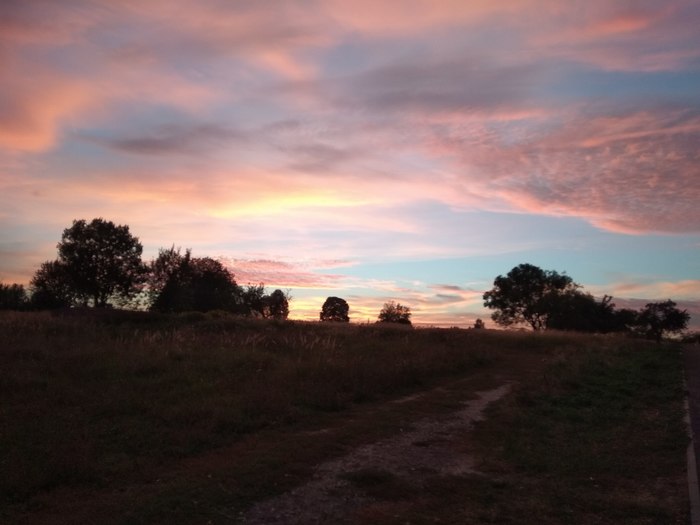 Sunset on the last warm days - The photo, My, Longpost, Bryansk, Nature, Sunset