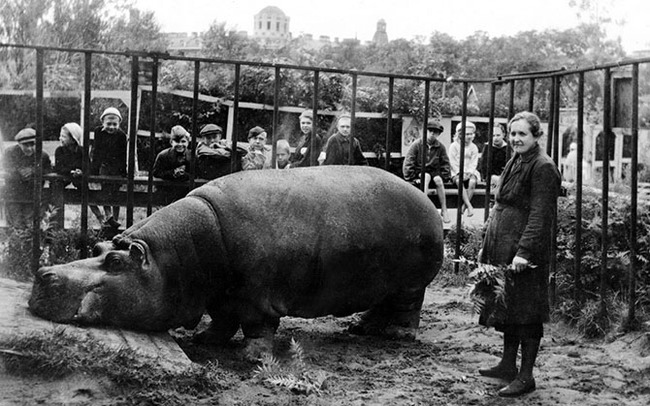 Чтобы помнили (Часть 16) - Великая Отечественная война, Чтобы помнили, Блокада Ленинграда, Зоопарк, Подвиг, Животные, Длиннопост