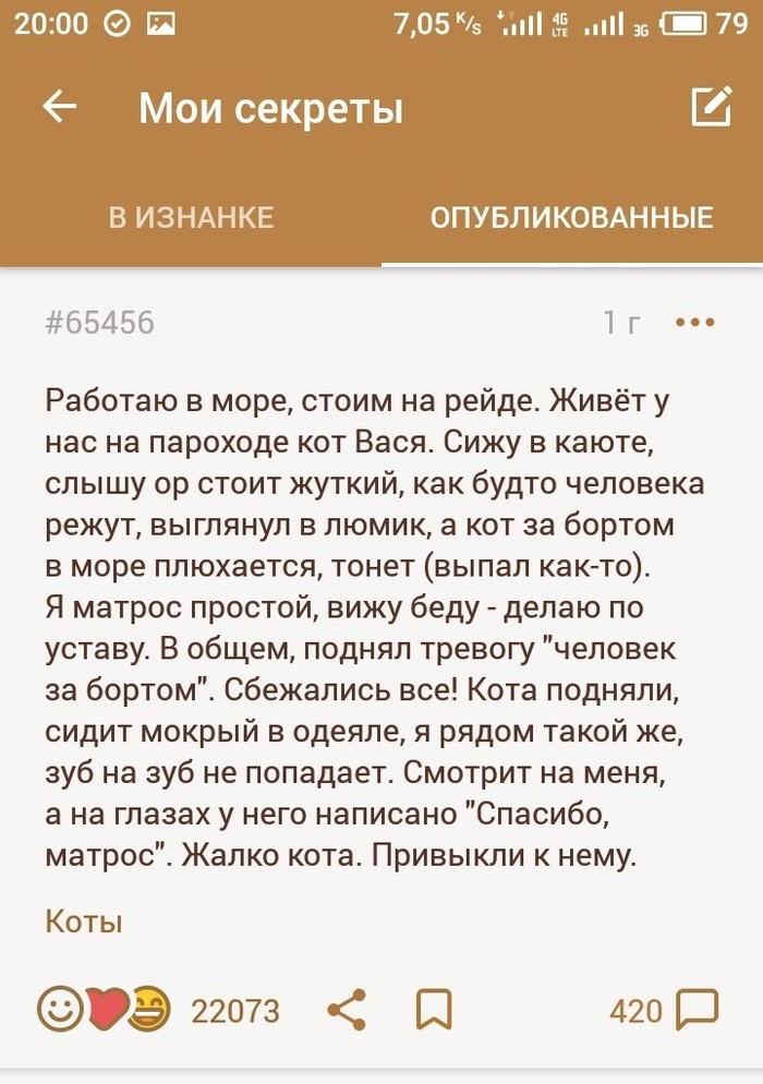 История одного кота по имени Вася - Моё, Вася, Кот, Теплоход, Длиннопост, Василий