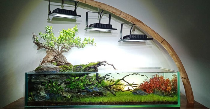 Идеальное оформление аквариума