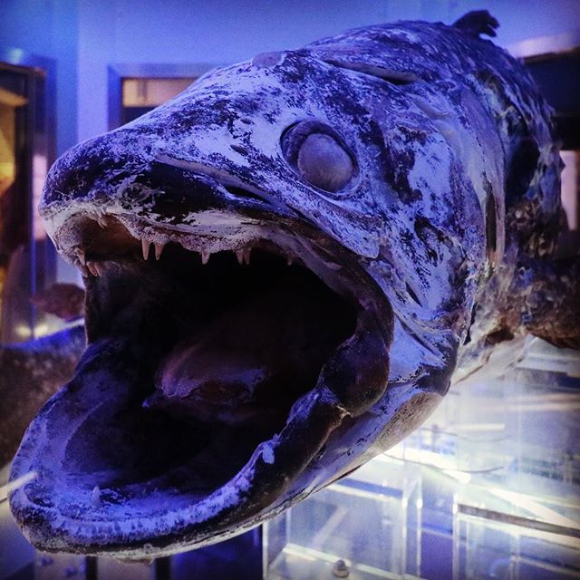 рыба капля люди в черном. Смотреть фото рыба капля люди в черном. Смотреть картинку рыба капля люди в черном. Картинка про рыба капля люди в черном. Фото рыба капля люди в черном рыба капля люди в черном. Смотреть фото рыба капля люди в черном. Смотреть картинку рыба капля люди в черном. Картинка про рыба капля люди в черном. Фото рыба капля люди в черном