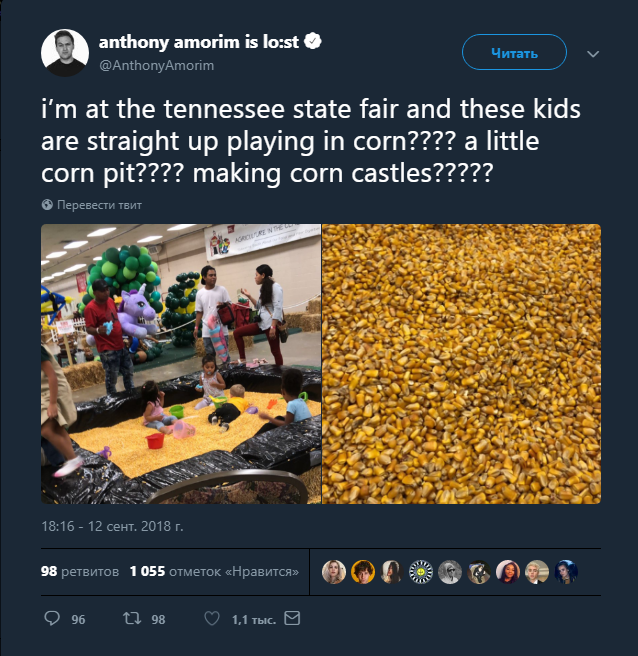 ���� ��������