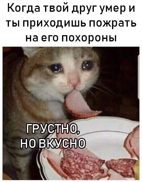 Не смешно но смешно - Мемы, Еда, Друг, Похороны, Кот