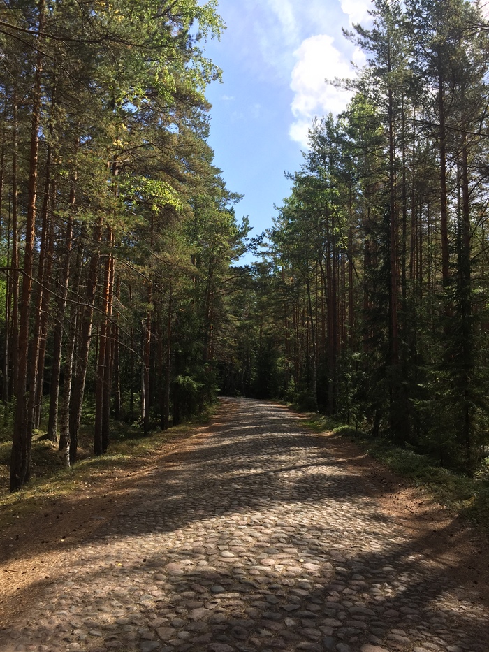 ������ � ����� ���������, ������������� �������