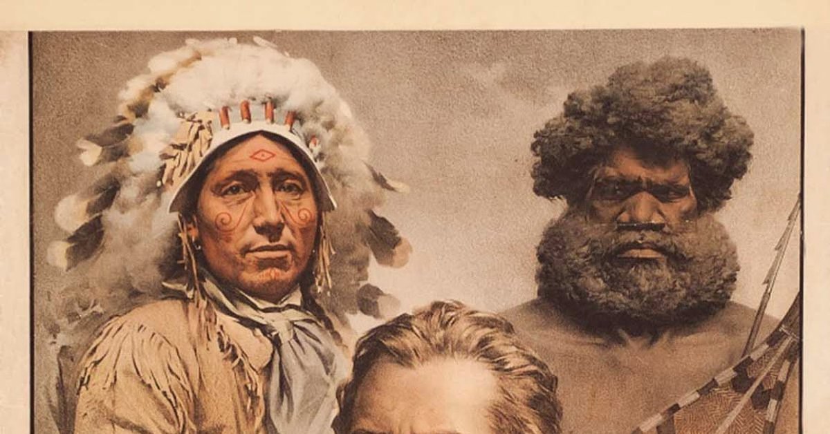 европеоид монголоид негроид. подвиды европеоидной расы. пятой расы. антропологические типы рас. антропология расы.