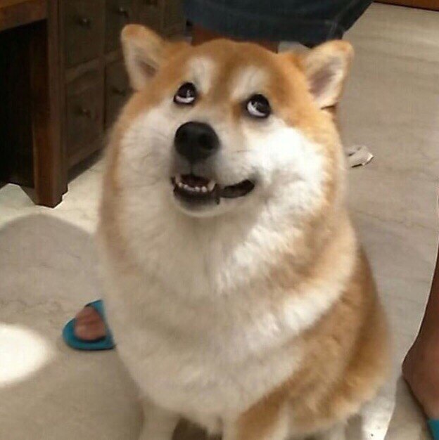 ���-�-��� �������!