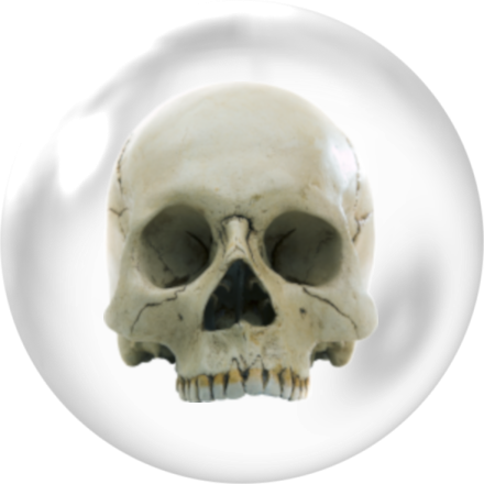 ������ �������: ��� ������