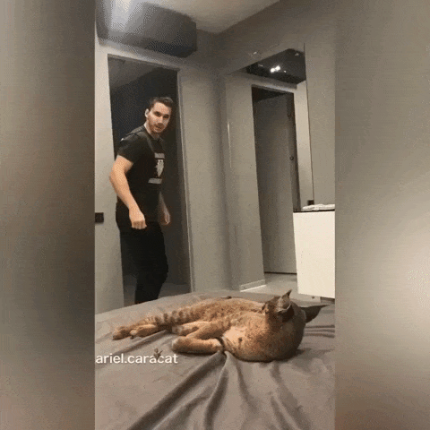 1537072751145281701.gif