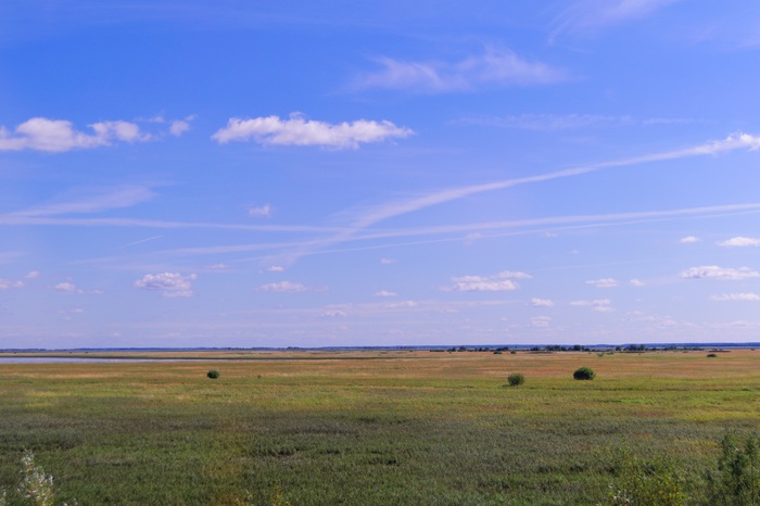 Horizon - My, Horizon, Field, Sky, The photo