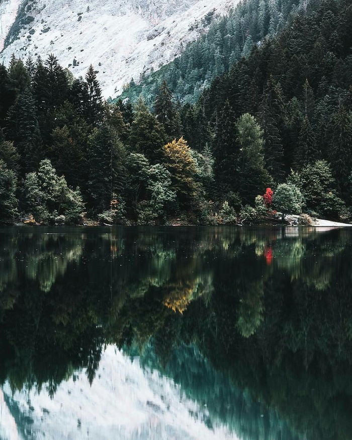 Forest - The mountains, Lake, Nature, Forest