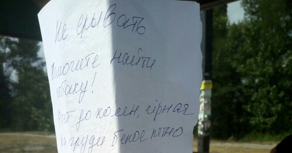 Объявление Шреденгера | Пикабу