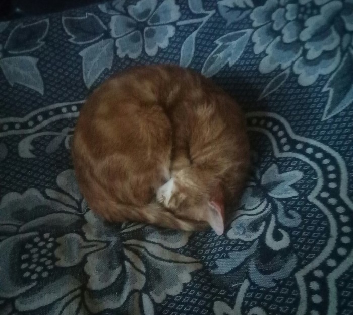 �������� ��������� �������!