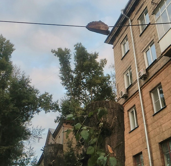 Застрял в текстурах.