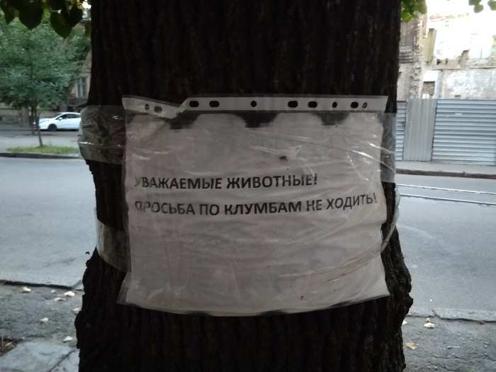 Уважаемые животные...