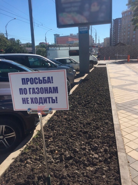 Oh, those Krasnodar lawns! - Krasnodar, Don't walk on lawns, Interesting, Lawn