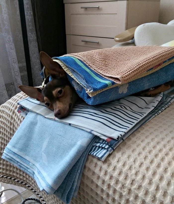 Кто-то любит тепло)